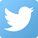 twitter_icon_4